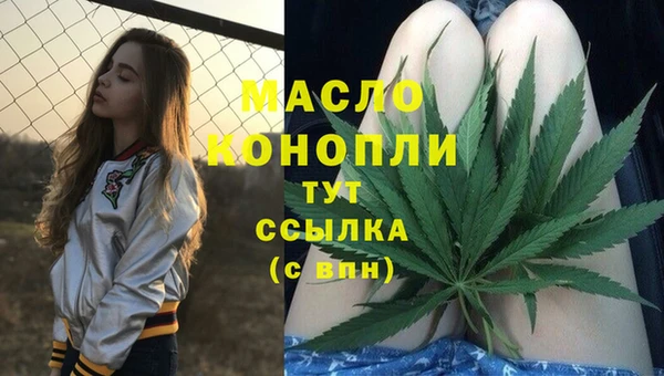 дживик Каменногорск