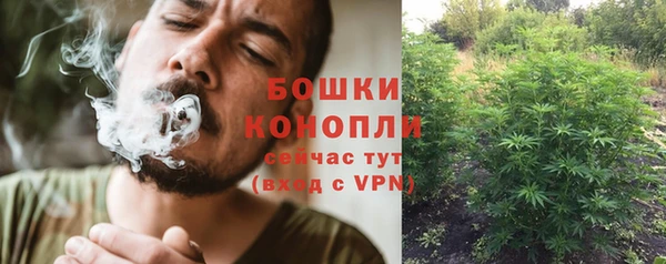 дживик Каменногорск