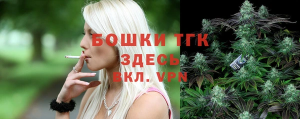 дживик Каменногорск