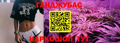 гашик Можга