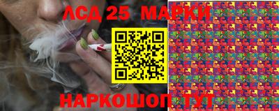 гашик Можга