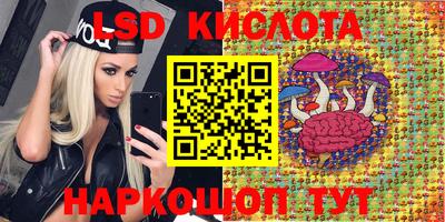 гашик Можга