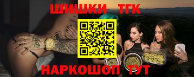 гашик Можга