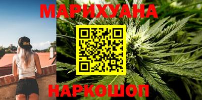 гашик Можга