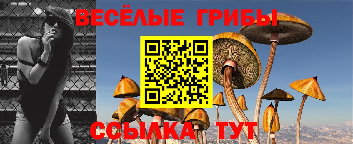 Псилоцибиновые грибы MAGIC MUSHROOMS  Вход с VPN  закладки  Галлюциногенные грибы MAGIC MUSHROOMS  Ноябрьск 